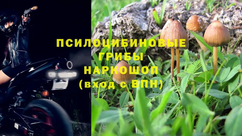 Псилоцибиновые грибы MAGIC MUSHROOMS  Уварово 